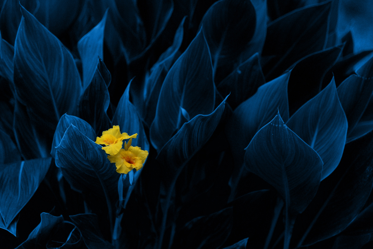 光的修饰,白平衡的色.