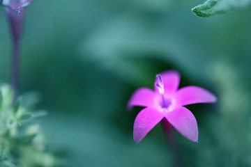 1340527