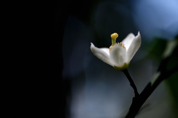 1301476