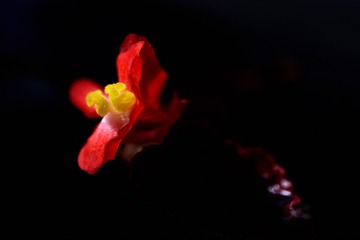 1322084
