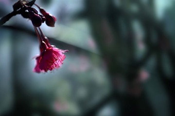 1360528