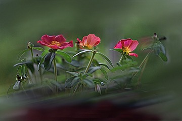 1380183