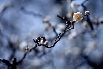 1360414