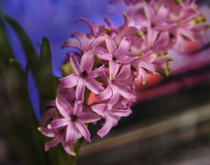 DSC_5450- 
