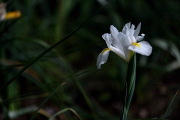 1300120