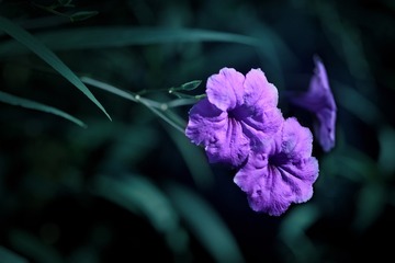 1343034