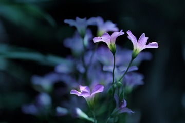 1302459