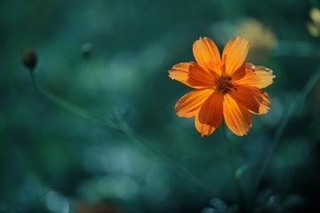 1340876