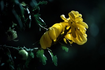 1413050