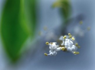 1300735