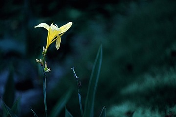 1380318