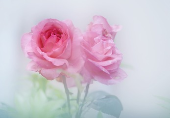 1302987