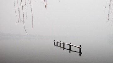 IMG_68231.jpg