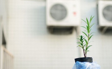 20120608-3.jpg