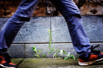 20120608-5.jpg