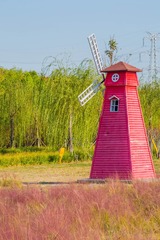 _MG_3552
