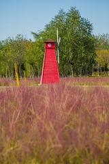 _MG_3532
