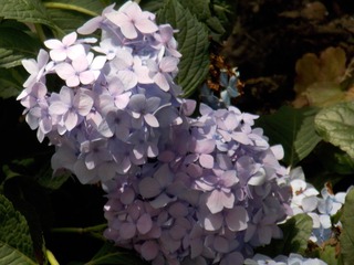 CF15BB3F-DEF6-4FF2-A44A-0A96443F9CBD/L0/001