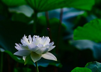 _K4A0689