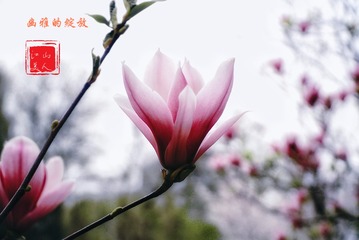 BBBF1B89-29E2-4B3D-92E1-6AAD10848BA1/L0/001