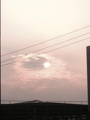 8EADB42C-4346-41FE-89EE-3FAB5A6B0EE6/L0/001