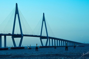 DSC01872-s.jpg