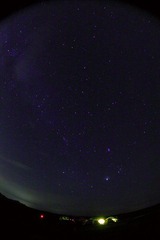 IMG_9530.jpg