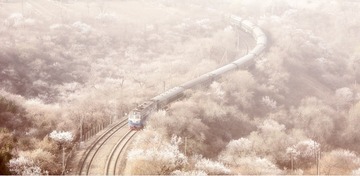 561524