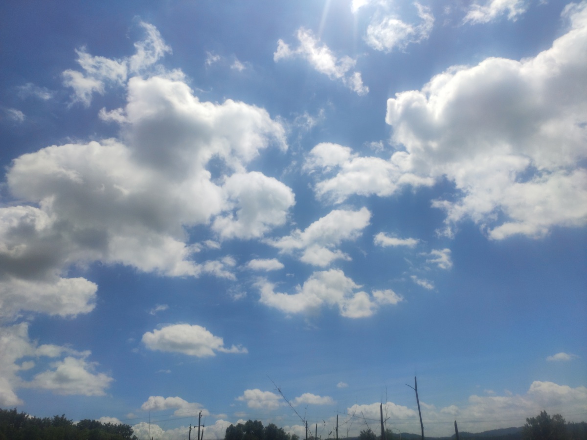 田园景色碧绿的田地与天空合二为一