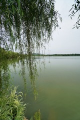 AE1D878D-9370-4A21-A0CC-EE68B2F4BA30/L0/001