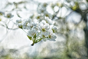 9A679EEB-B3FD-485B-B5A3-BC4B3DD071D0/L0/001