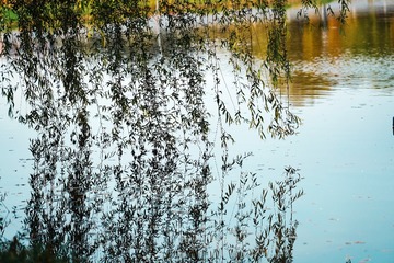 D74C8CC6-CA05-4DB2-91C3-3E75EEC22B0B/L0/001