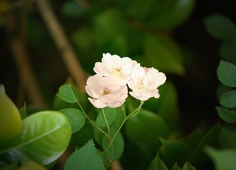 C162CA36-BD7A-4C8F-A3BA-447BD7671242/L0/001