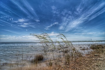 63F0F1CE-DDF3-4D8E-90D5-7FDE6DA9953D/L0/001