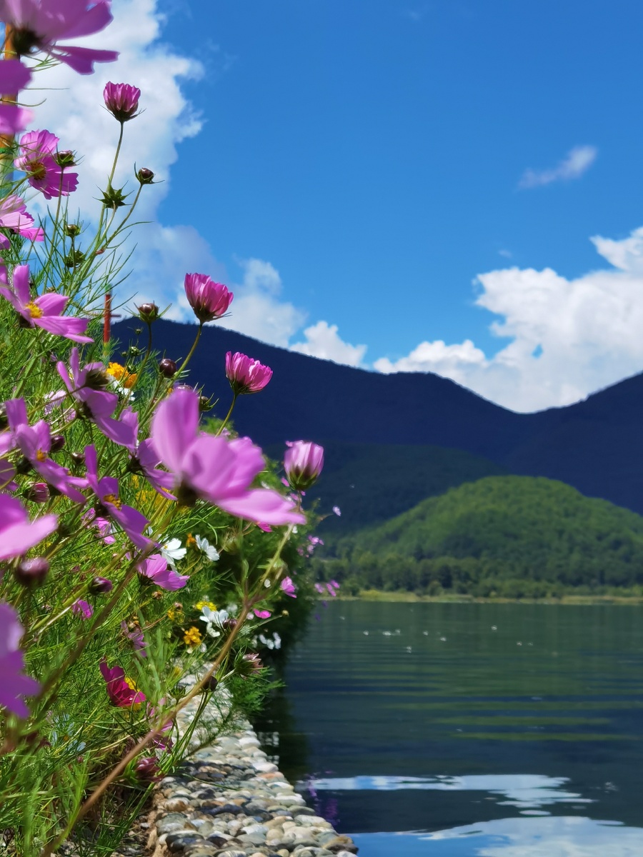 云南泸沽湖之旅