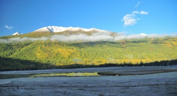 DSC_0206_00001