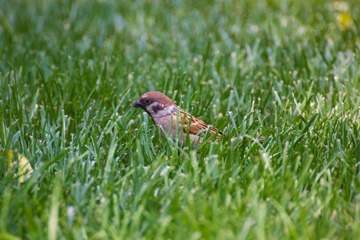 IMG_7621.jpg