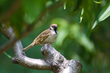 IMG_7622.jpg
