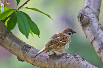 IMG_7650.jpg