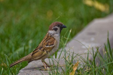 IMG_7658.jpg