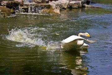 IMG_7728.jpg