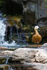 IMG_7746.jpg
