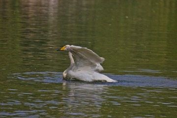IMG_7789.jpg