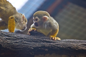 IMG_7899.jpg