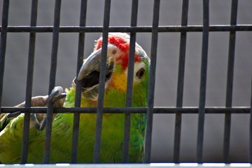 IMG_7920.jpg