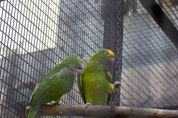 IMG_7925.jpg