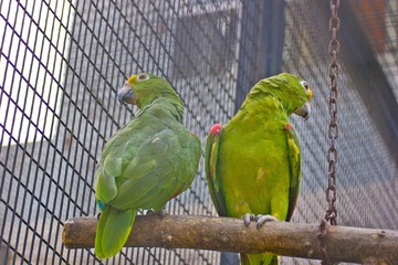 IMG_7926.jpg