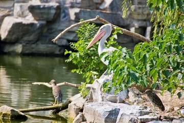 IMG_7947.jpg