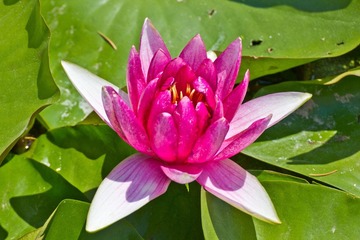 IMG_8852.jpg