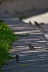 IMG_8873.jpg